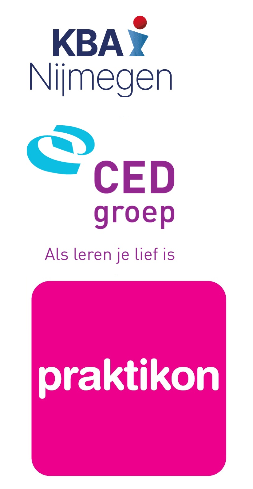 Onderzoek naar de implementatie en het effect van Werkplekleren op de didactische vaardigheden van vso leraren